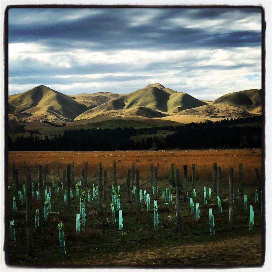 Romantic Vineyard Getaway Waipara Buitenkant foto