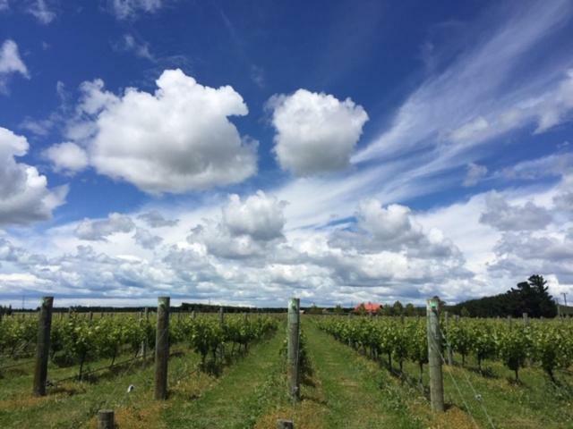 Romantic Vineyard Getaway Waipara Buitenkant foto