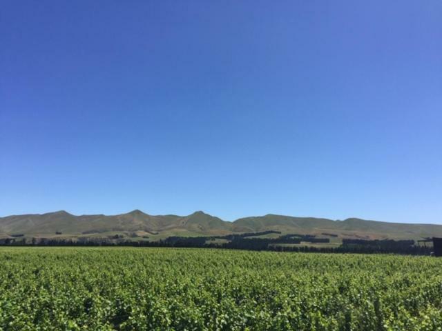 Romantic Vineyard Getaway Waipara Buitenkant foto